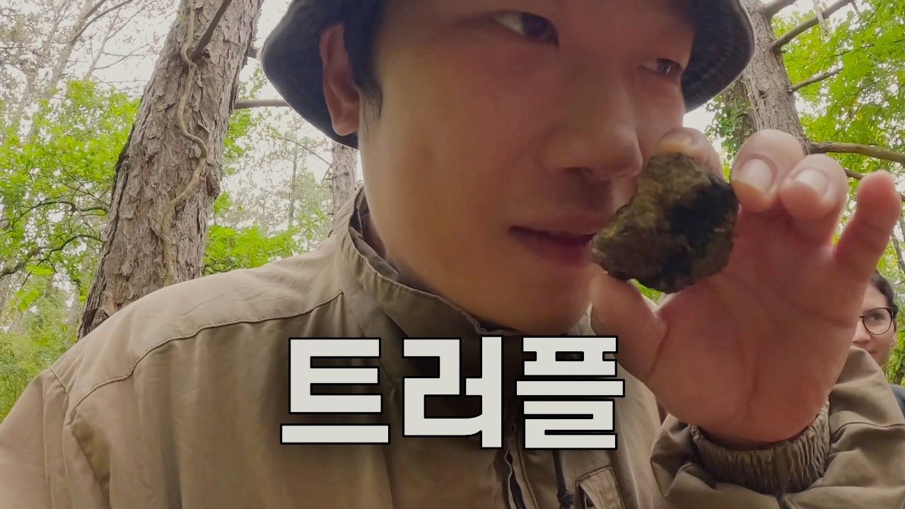 직접 캐서 즐기는 트러플 만찬 - 크로아티아
