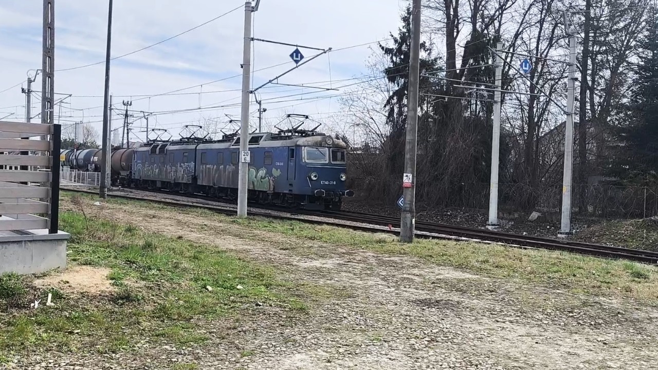 Rzadkość na ,,Kryniczance