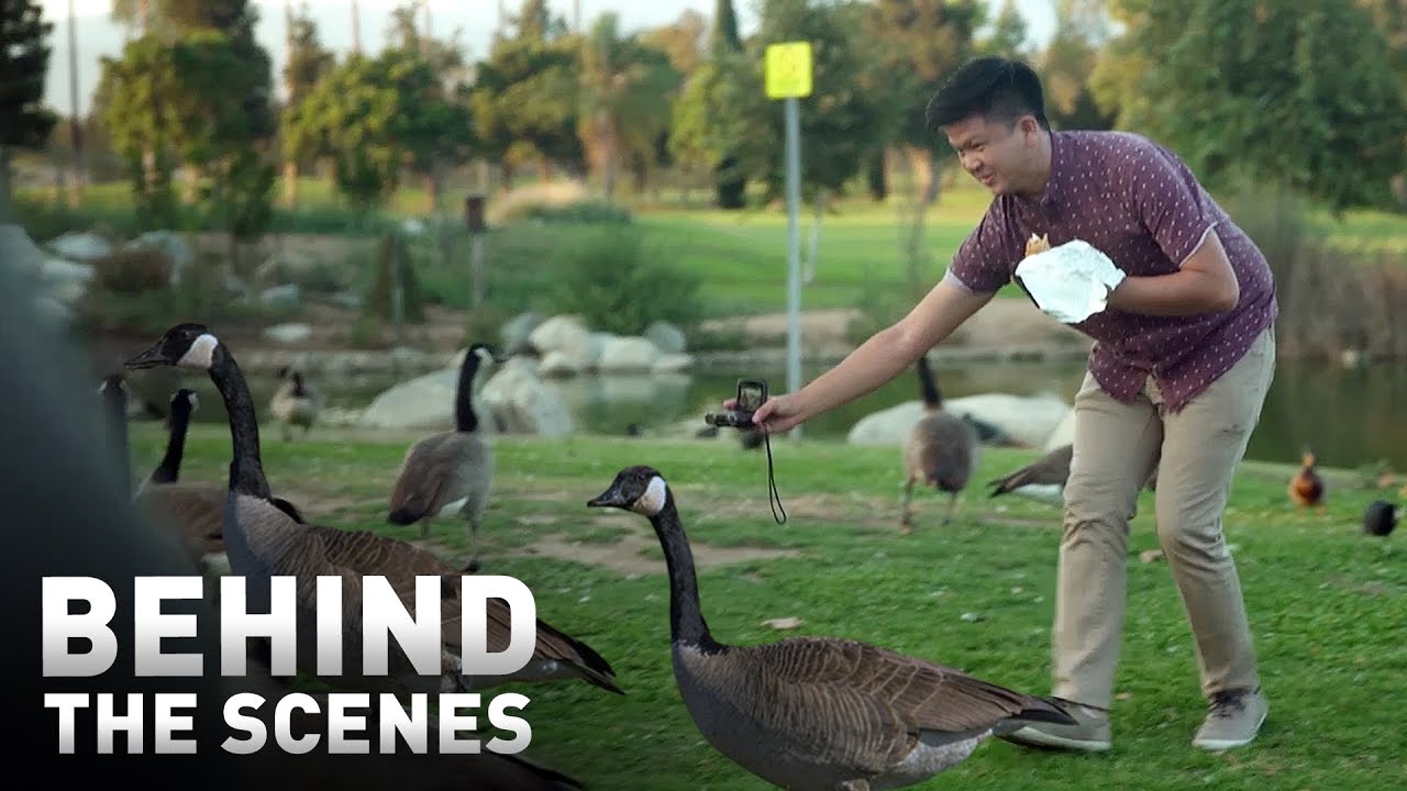 Behind the Scenes - 