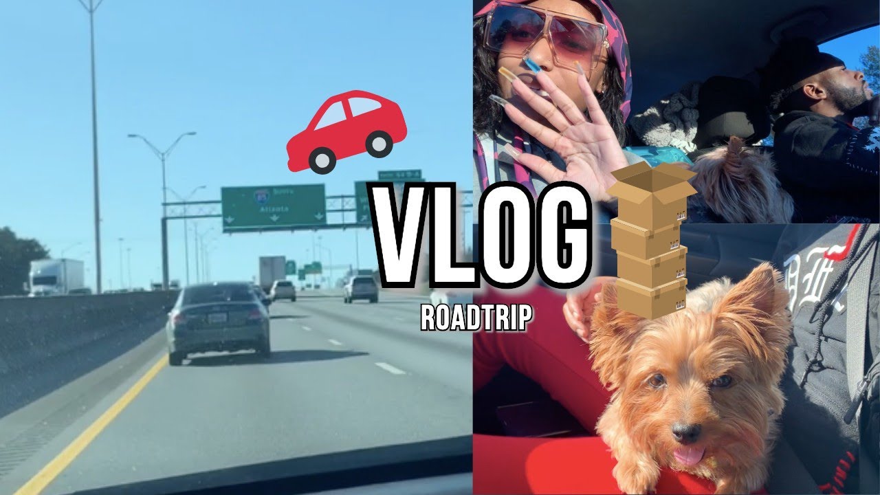 MOVING VLOG Ep2: Road Trip 🚗 | Ky Lashaii