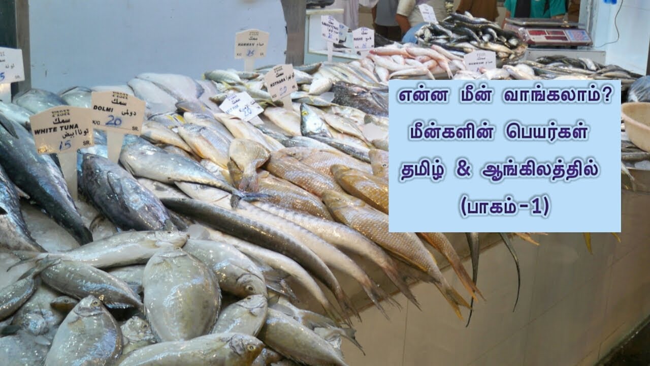 Fish Facts: மீன்களின் பெயர்கள் தமிழ் & ஆங்கிலத்தில் | Names of Fishes in Tamil & English (Part-1)