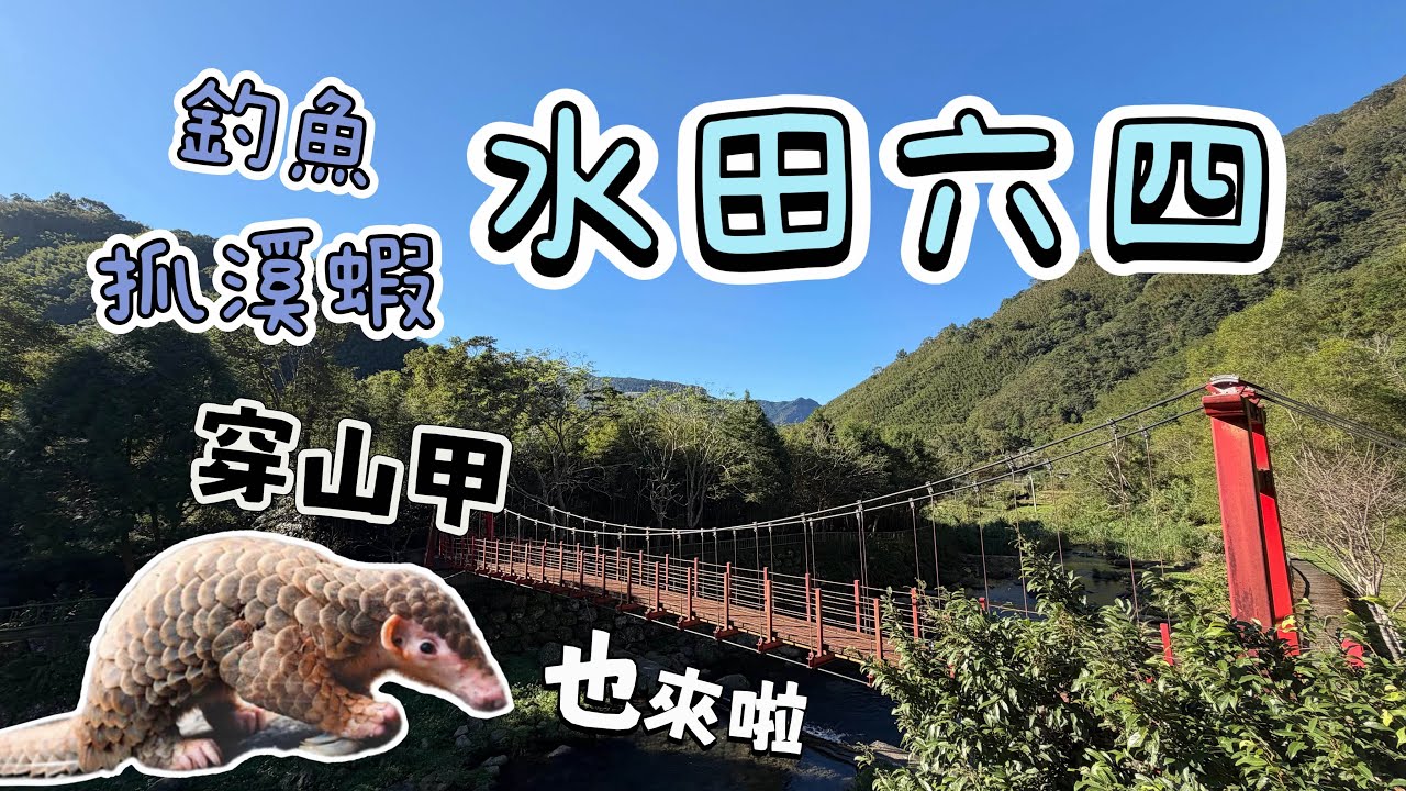 新竹尖石｜水田六四露營區｜抓溪蝦、釣魚、穿山甲、螢火蟲、流星所有願望一次滿足