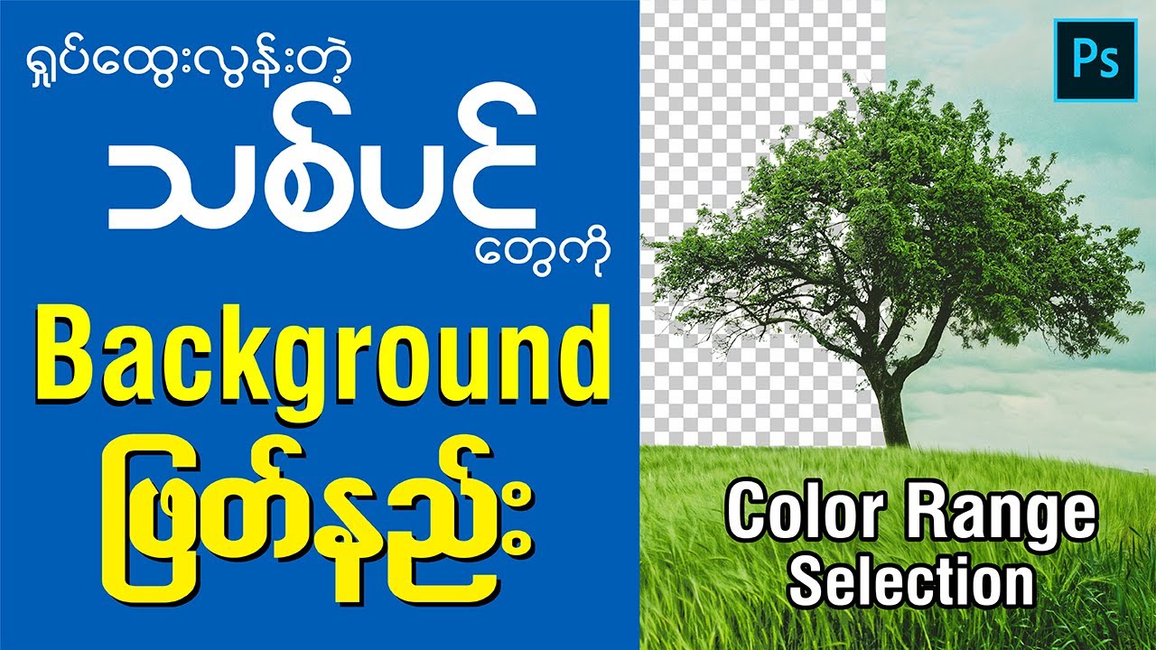 Photoshop - Color Range ဖြင့် နောက်ခံဖျက်နည်း | How to use Color Range in Photoshop