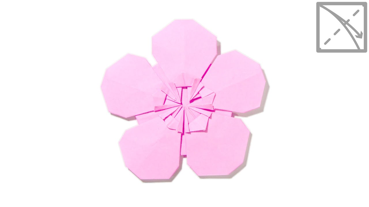 Origami Plum Blossom Tutorial with Diagrams