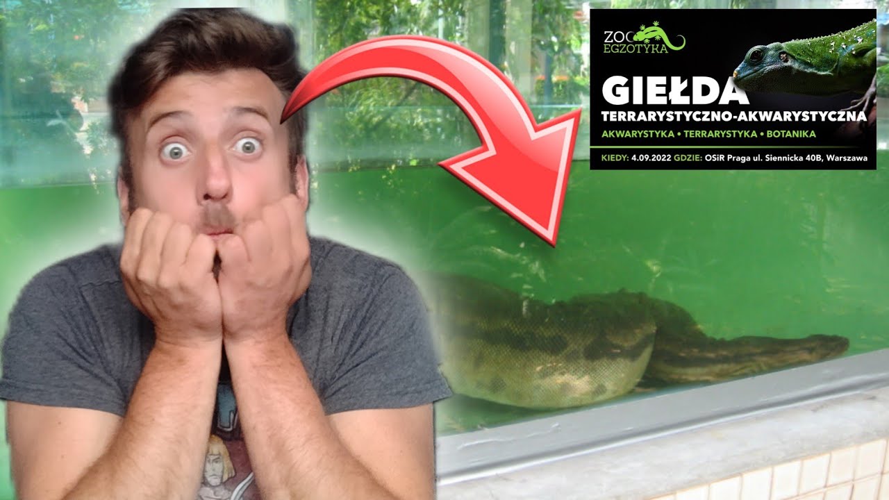 PIERWSZY RAZ W ŻYCIU WIDZIAŁEM TEGO WĘŻA NA ŻYWO ‼️ ZooEgzotyka 04.09.2022