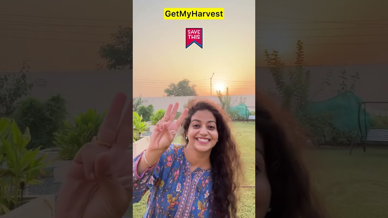 5 Unique Plants in GetMyHarvest Garden | Orchids  Kalachoe, Alamanda aur bhi bahut kuch