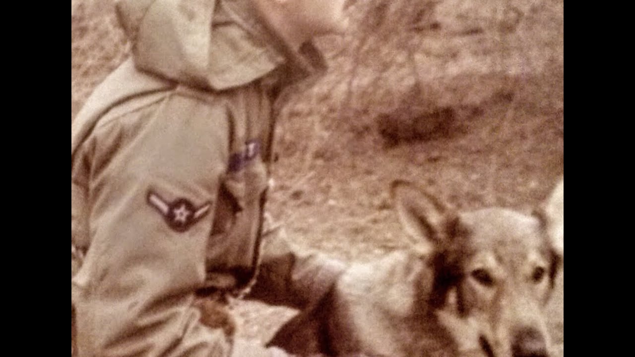 Mark Smoot: Military Working Dog Handler