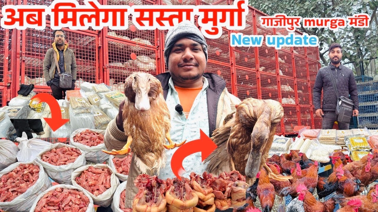 Ghazipur murga mandi rate today | wholesale market delhi new video 2026|गाजीपुर मुर्गा मंडी दिल्ली ॥