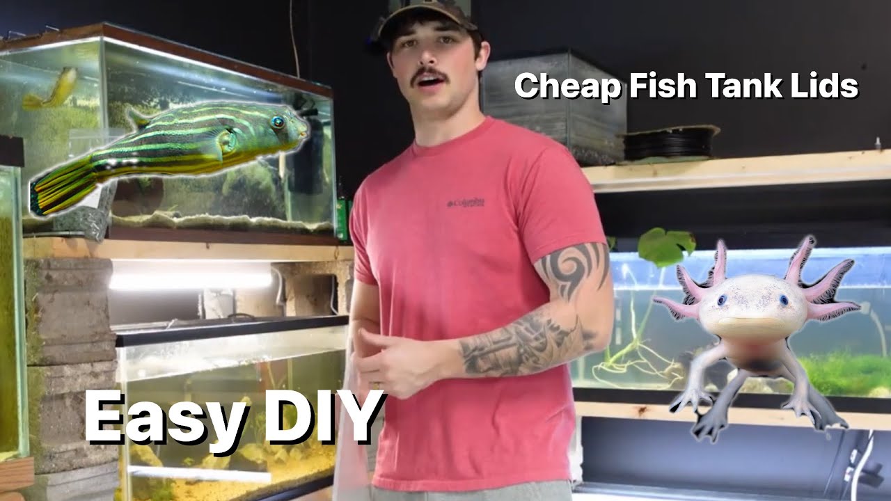 DIY Fish Tank Lids