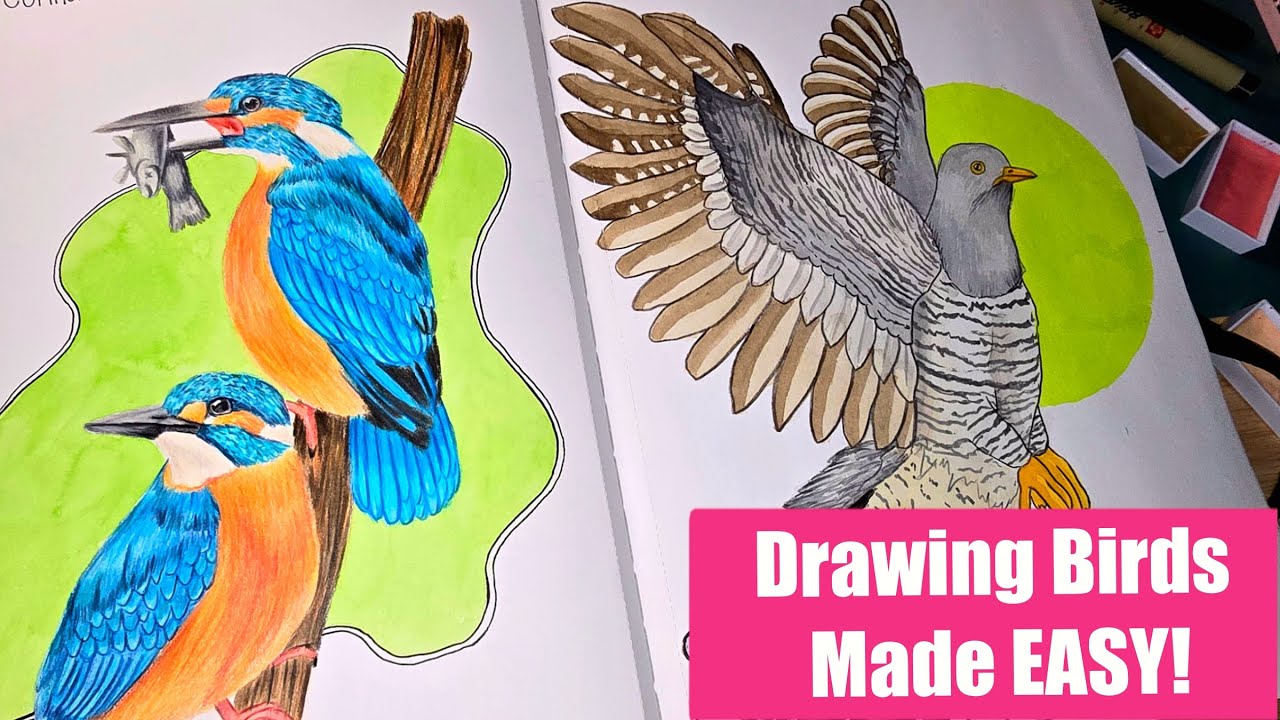 How I Draw Birds in My Sketchbook – 7 Mixed Media Birds Made Easy