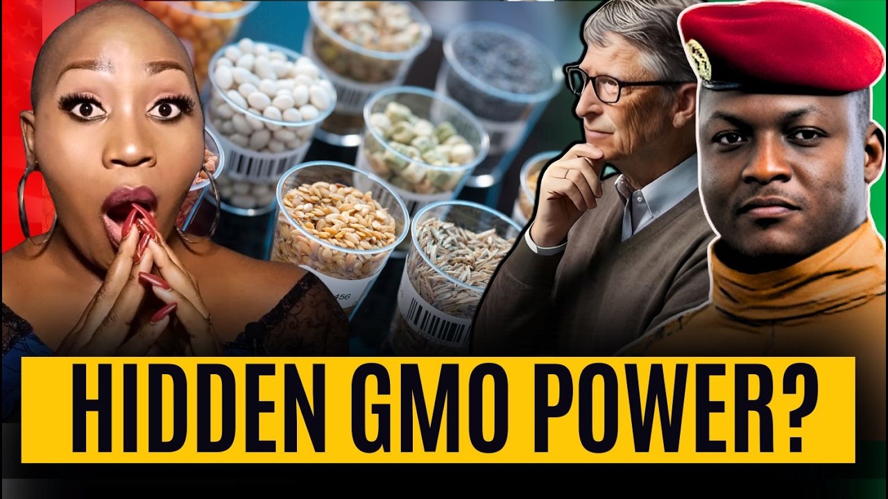 Bill Gates Isn't the Only One: Who's Really Behind Africa's Seed Crisis