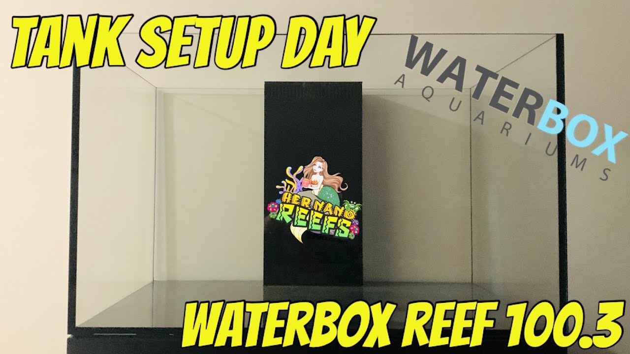 Tank Setup Day! Waterbox Reef 100.3