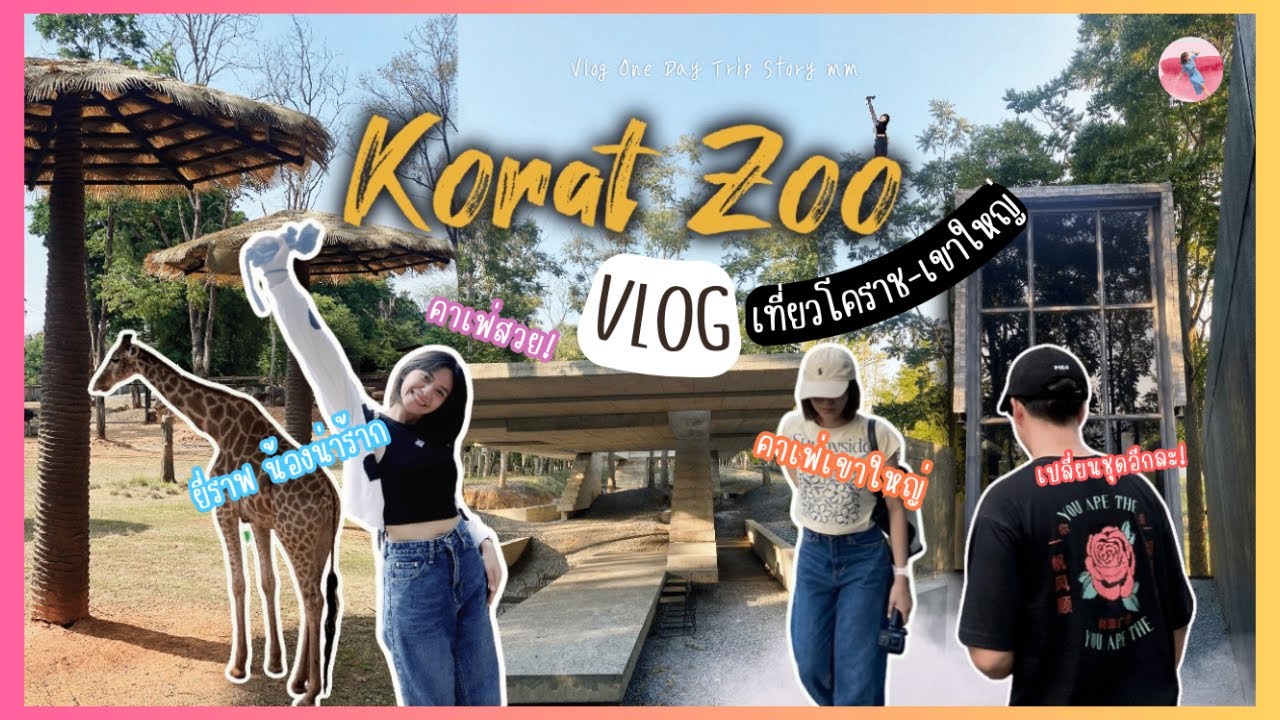 Vlogเที่ยวคาเฟ่ เขาใหญ่ บุกตะลุยชมสวนสัตว์โคราช2024  | Yellow Submarine Cafe Story mm EP.7