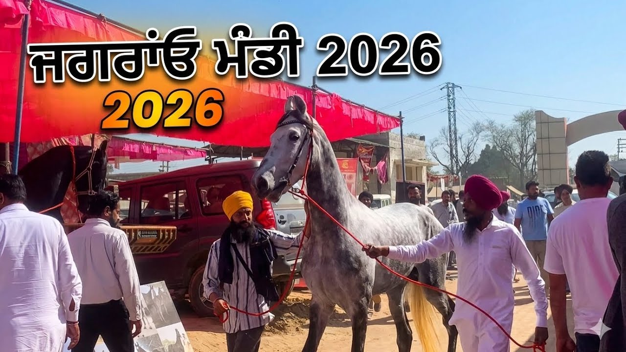 Jagraon mandi 2026