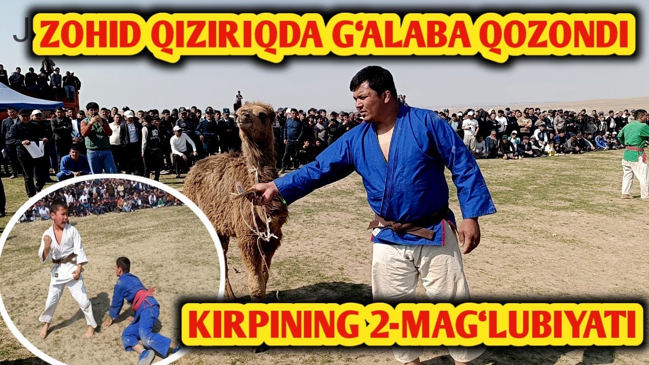 ZOHID TOVOQNI OLDI...|Qiziriq tumani Navro‘z kurashi |15.03.25