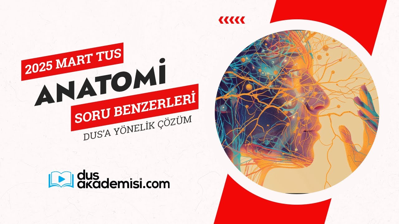 2025 Mart TUS Anatomi Sorularının DUS'a Yönelik Çözümü