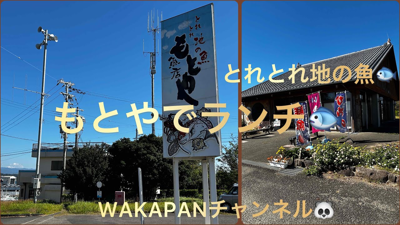 とれとれ地の魚🐟もとや🐟でランチ❤️WAKAPANチャンネル🐼