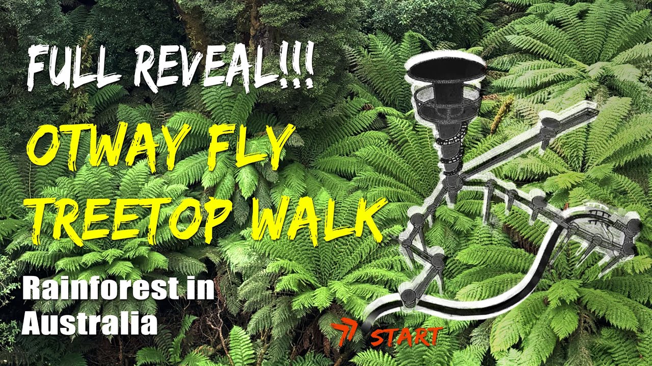 Full Reveal!! Otway Fly Treetop Walk Through | Great Otway Nation Park - Australia [Sirius Travel]