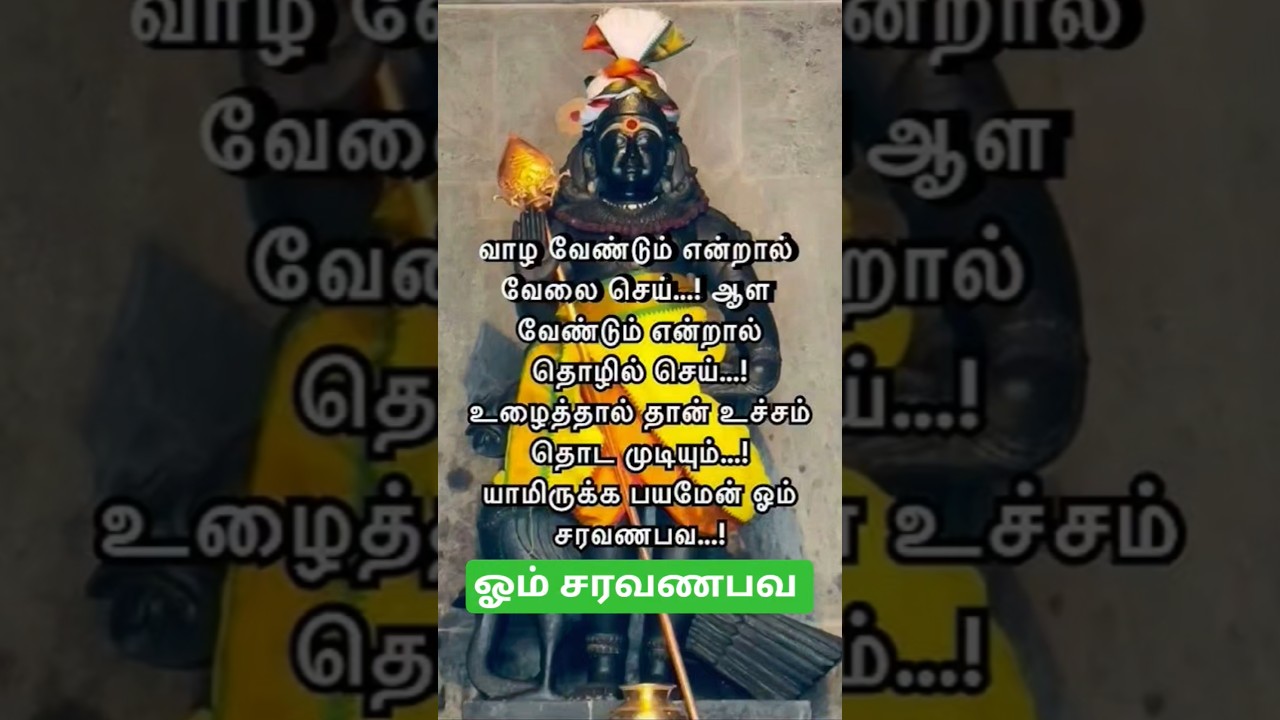 Om muruga saranam 🙏 #murugan #lordmurugan #shorts