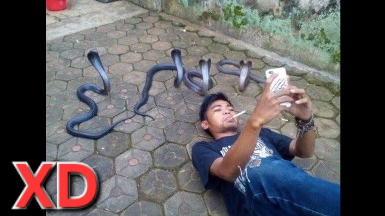 😆 SI TE RÍES PIERDES 😆 MEMES RANDOM 🤣(#31)