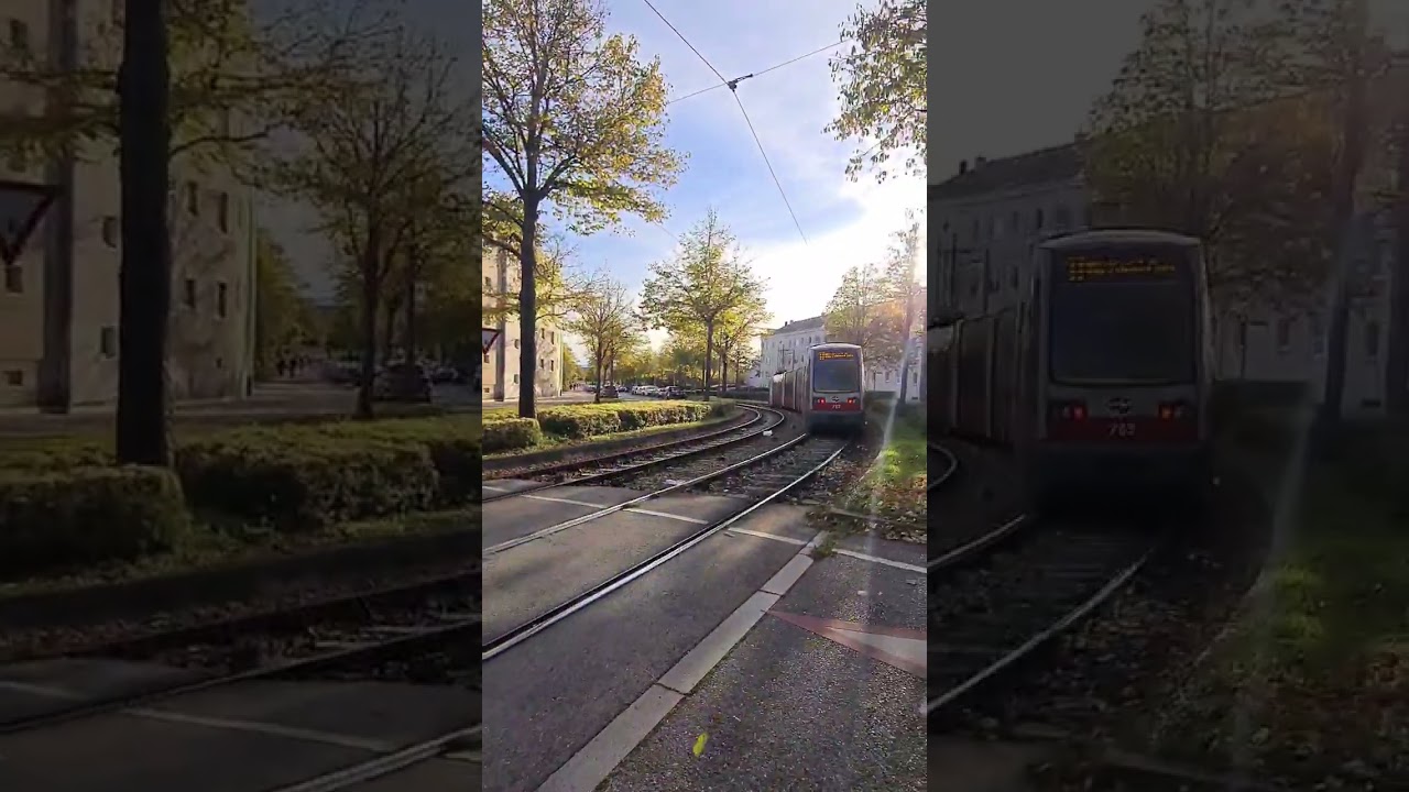ULF FAST TRAIN #11er #shortvideo #shortbeta #spotted #vienna