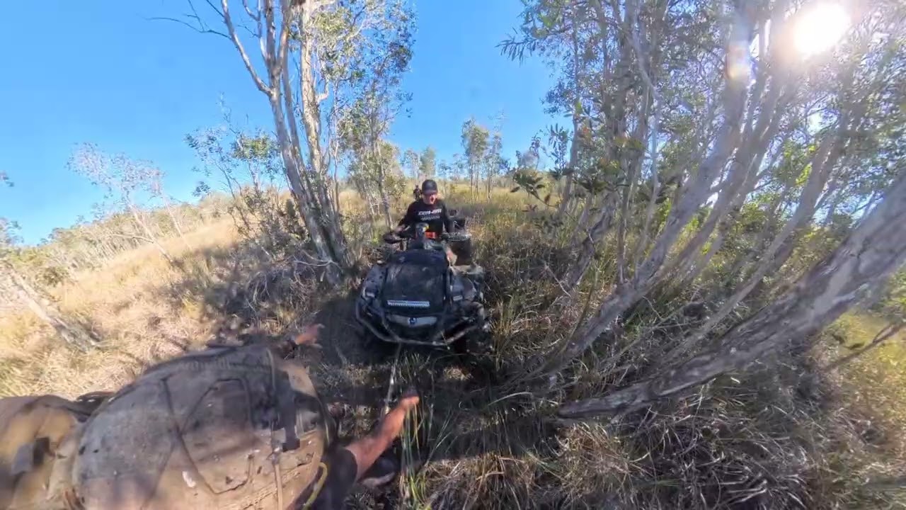 3 can ams and a honda