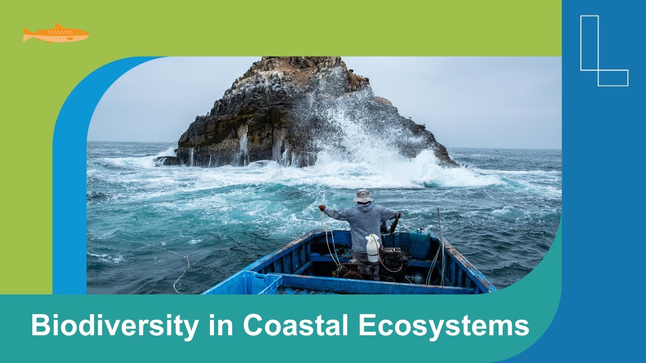 How Nature Works in Coastal Peru: The Amazing Biodiversity of a Coastal Ecosystem