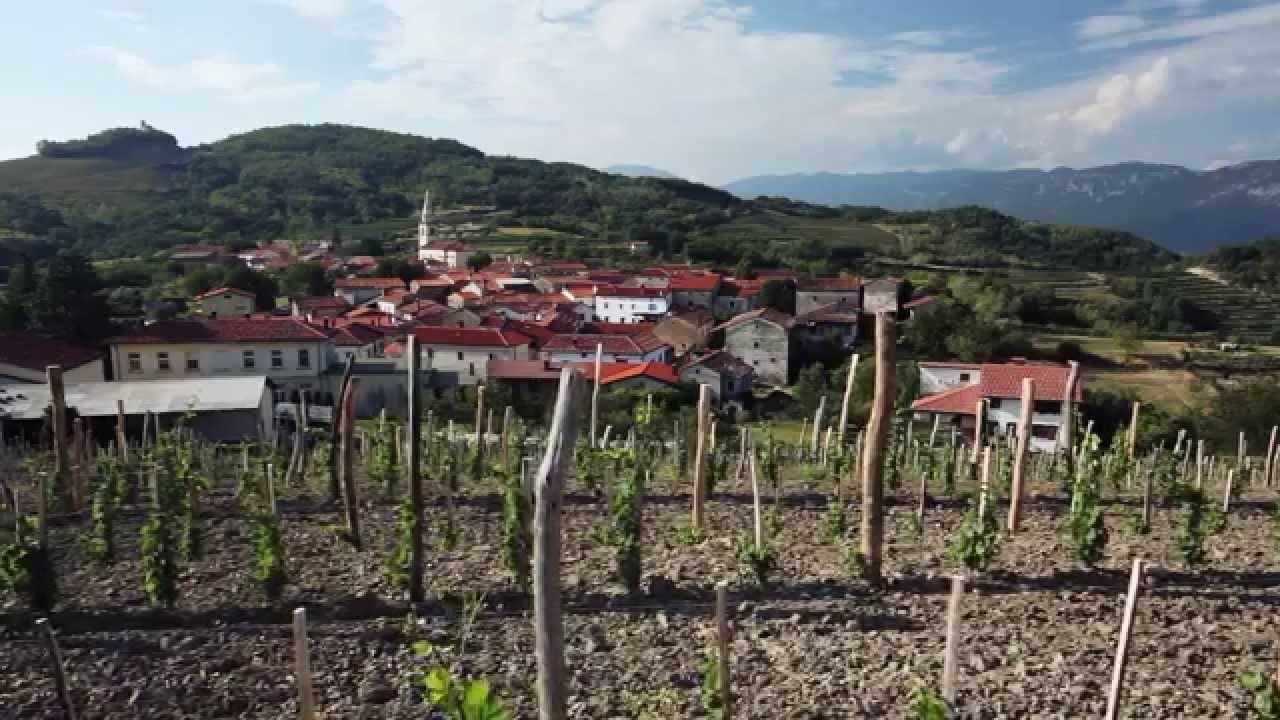 Izvirna Vipavska