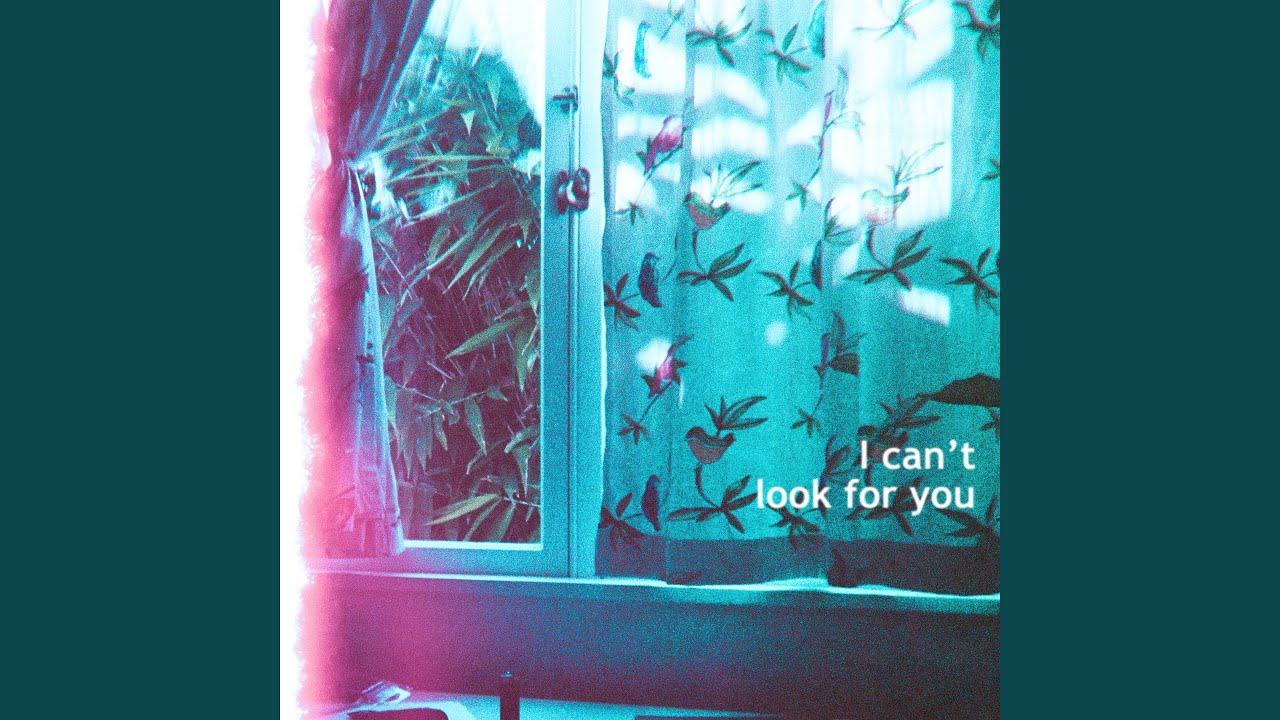 I Can't Look For You