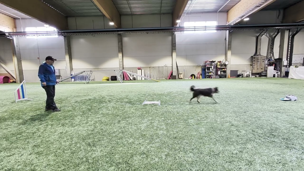 Segla 11 months RC lesson 1.3