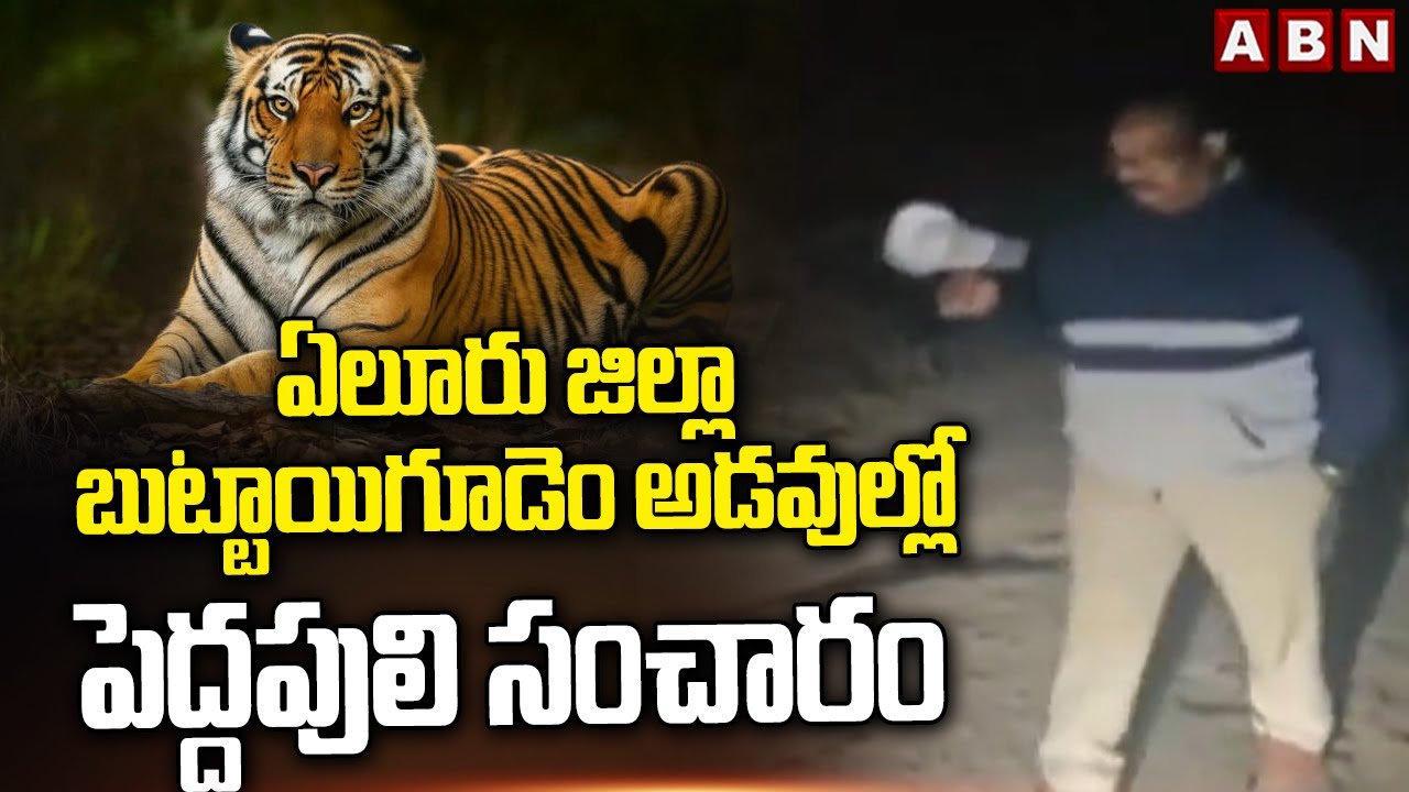 ఏలూరు జిల్లా బుట్టాయిగూడెం అడవుల్లో పెద్దపులి సంచారం | Tiger At Buttaigudem Forest | Eluru | ABN