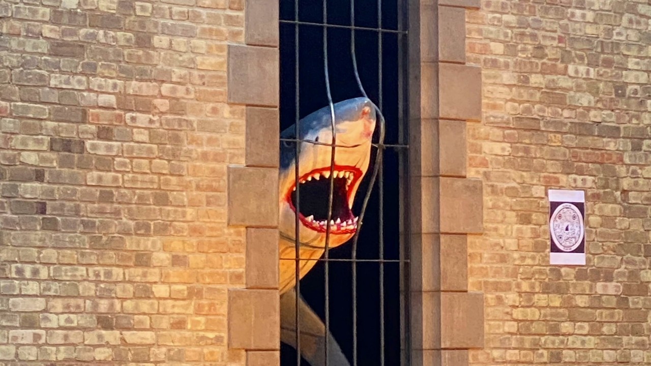 Why Did London Try to Ban Shark Sculptures?