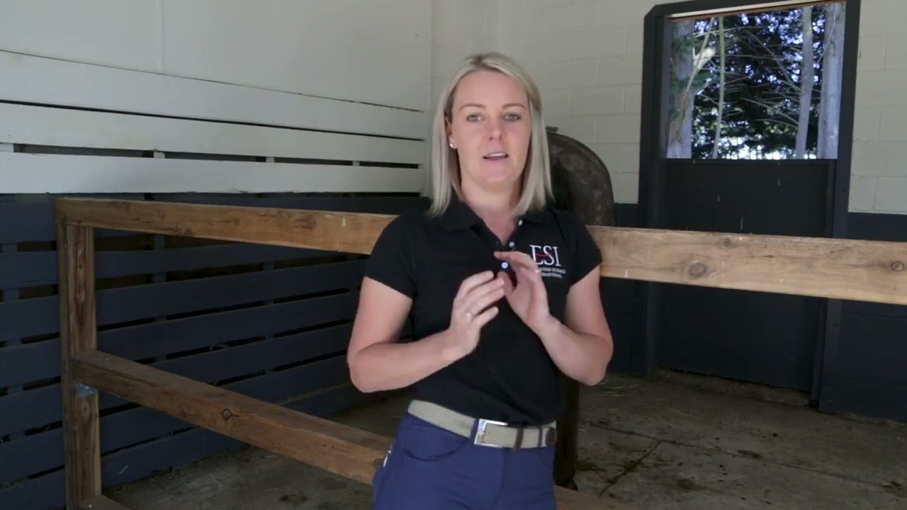 10872NAT Diploma of Equitation Science: Frequently Asked Questions