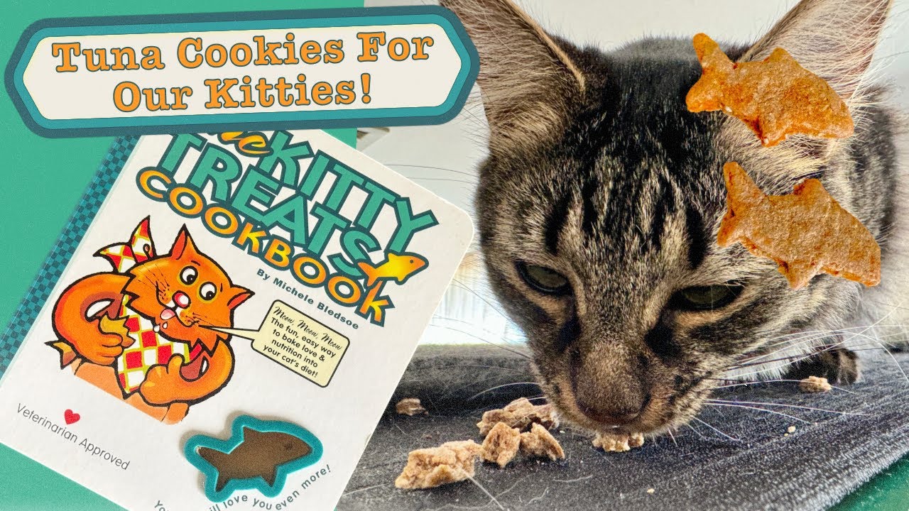 Cat-Approved Crunch: Try These Simple Homemade Treats Today!