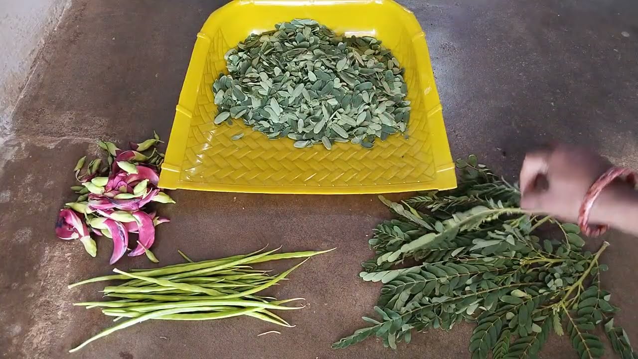 🌿அகத்தி கீரையில் வத்தல்மொறு மொறுன்னு தயாரிச்சு பாருங்க இத்தன நாளா இது தெரியாம போச்சுன்னு நினைப்பீங்க