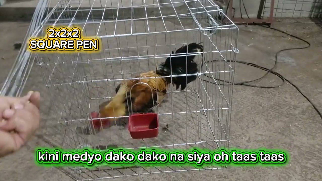 2x2x2 SQUARE PEN SULIT