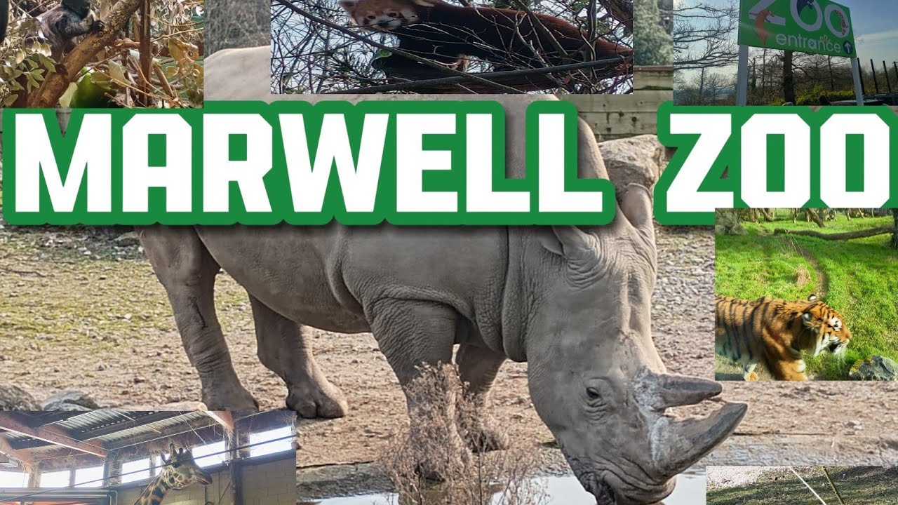 WE VISIT MARWELL ZOO UK