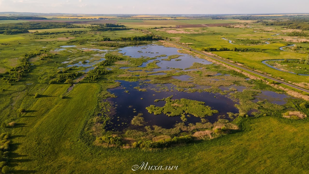 Царство для птиц. Заказник местного значения 