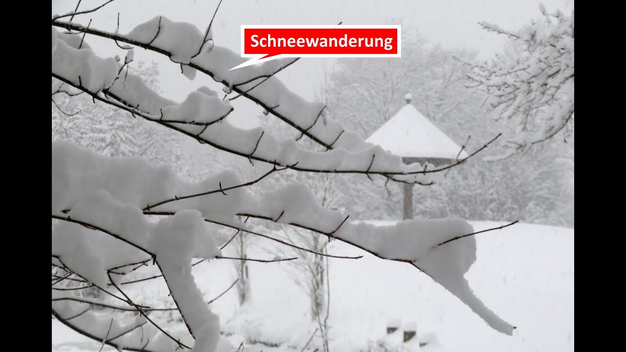 Schnee und nochmals Schnee - Wanderung im tiefen Schnee am Regnitzaltwasser von Forchheim am 26.1.26