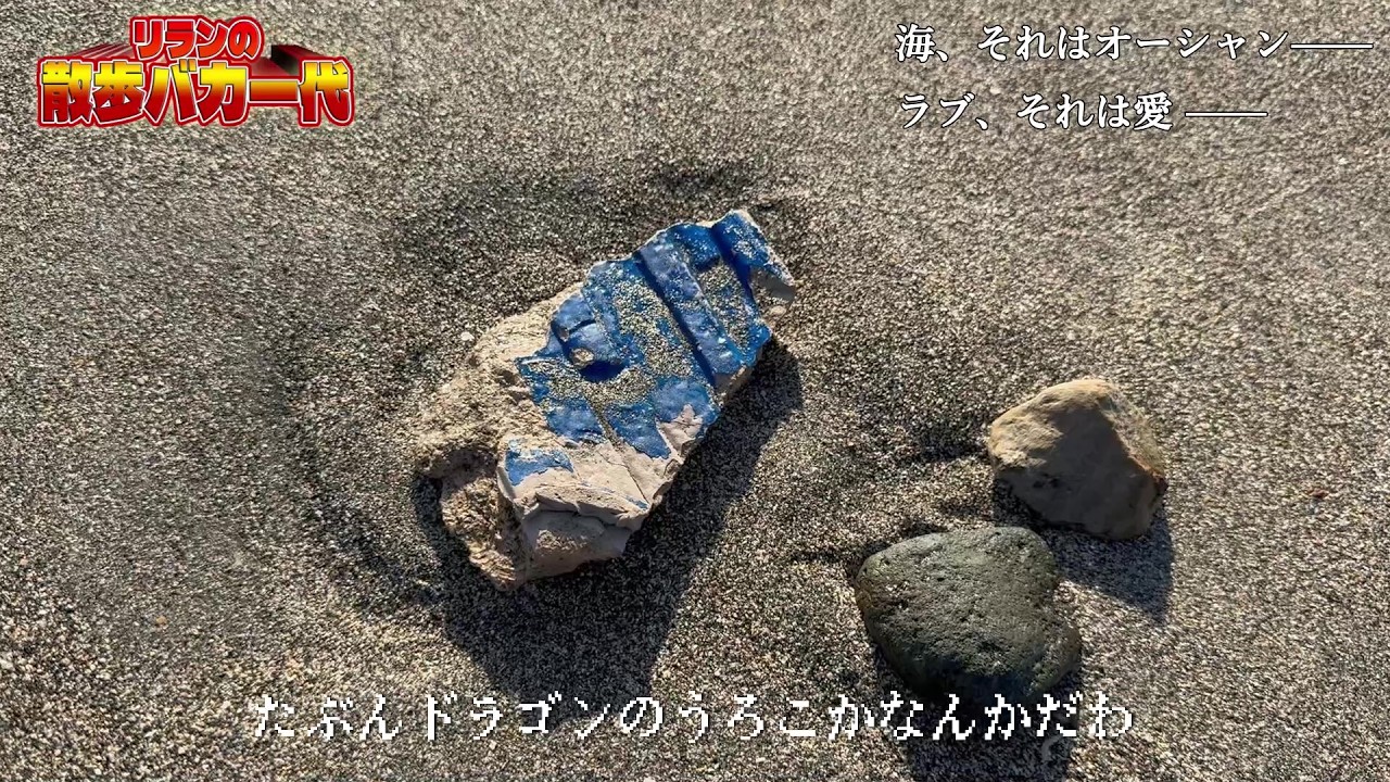 【散歩企画】冬の海できれいなものを10個見つけるまで帰れない旅