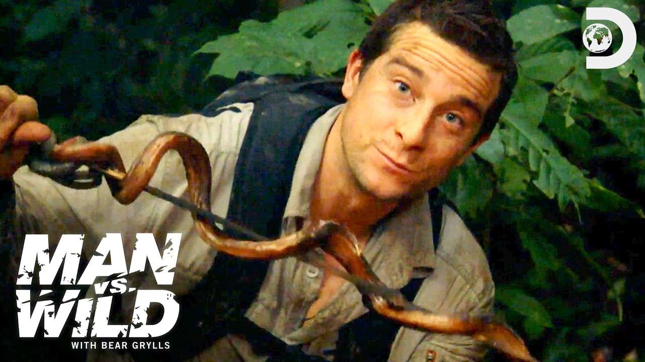 Surviving in the Jungle with Bear Grylls 🌴🧭 Man Vs. Wild | Discovery