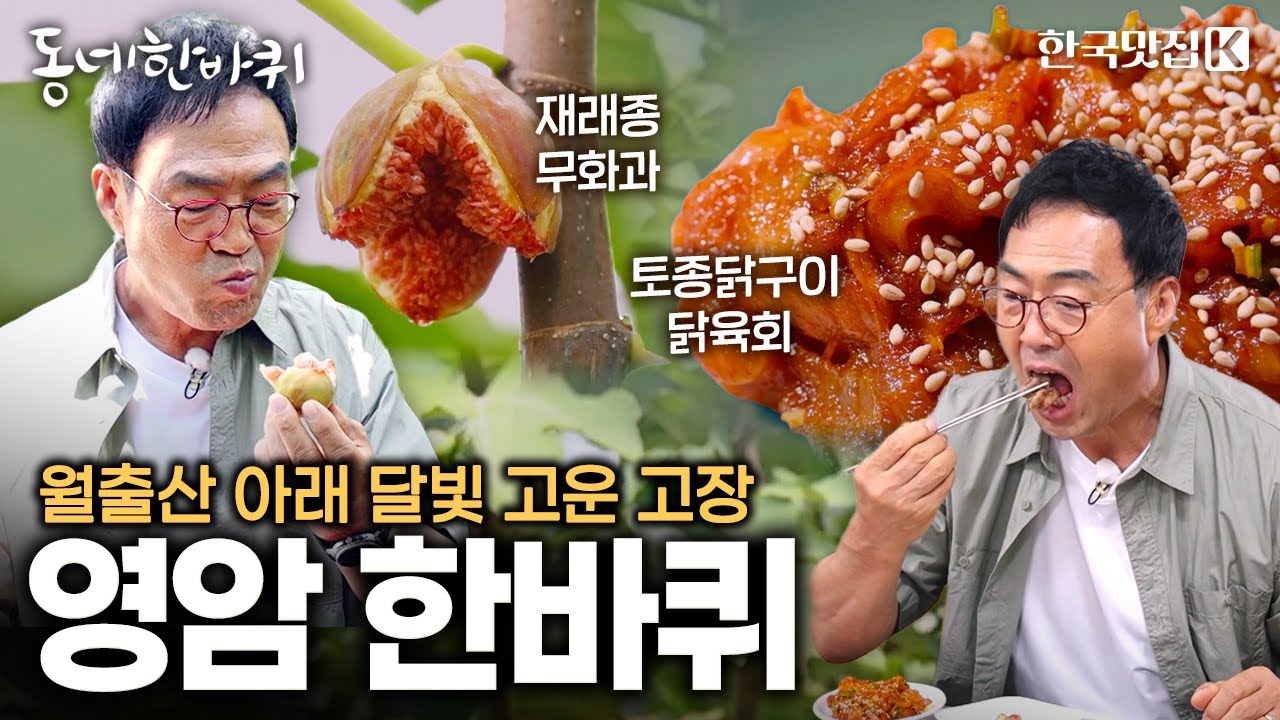 소백산맥 끝자락 우뚝 솟은 '월출산' 아래 달빛 고운 고장 | KBS 251004 방송