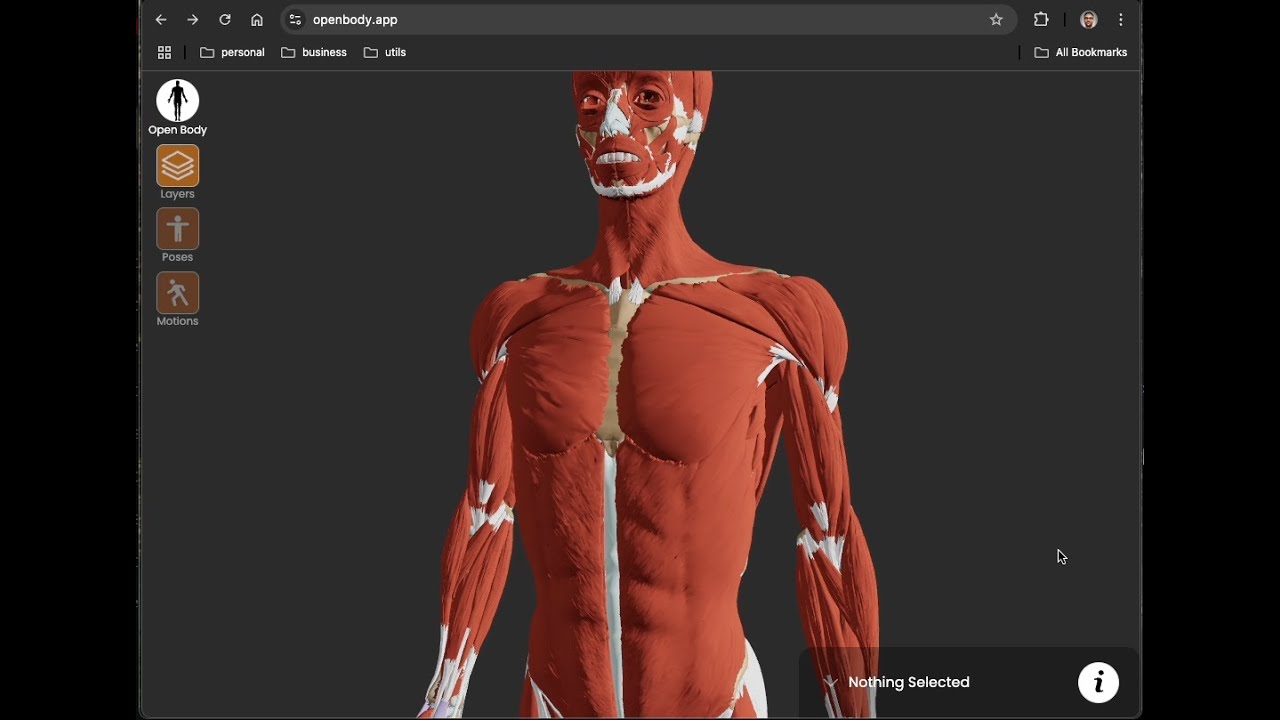 open body app demo for desktop users