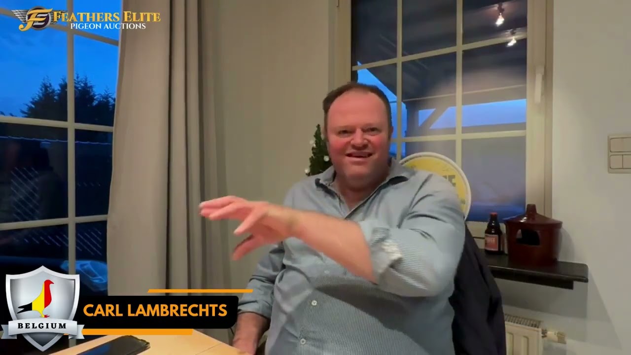 Meet the Thoroughbreds Lambrechts Pigeons Berlaar Belgium