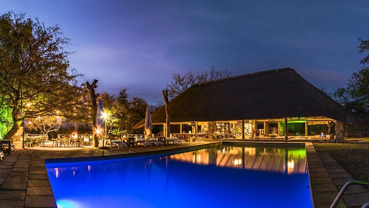 Timbavati Safari Lodge Tour: Embrace the African Wilderness