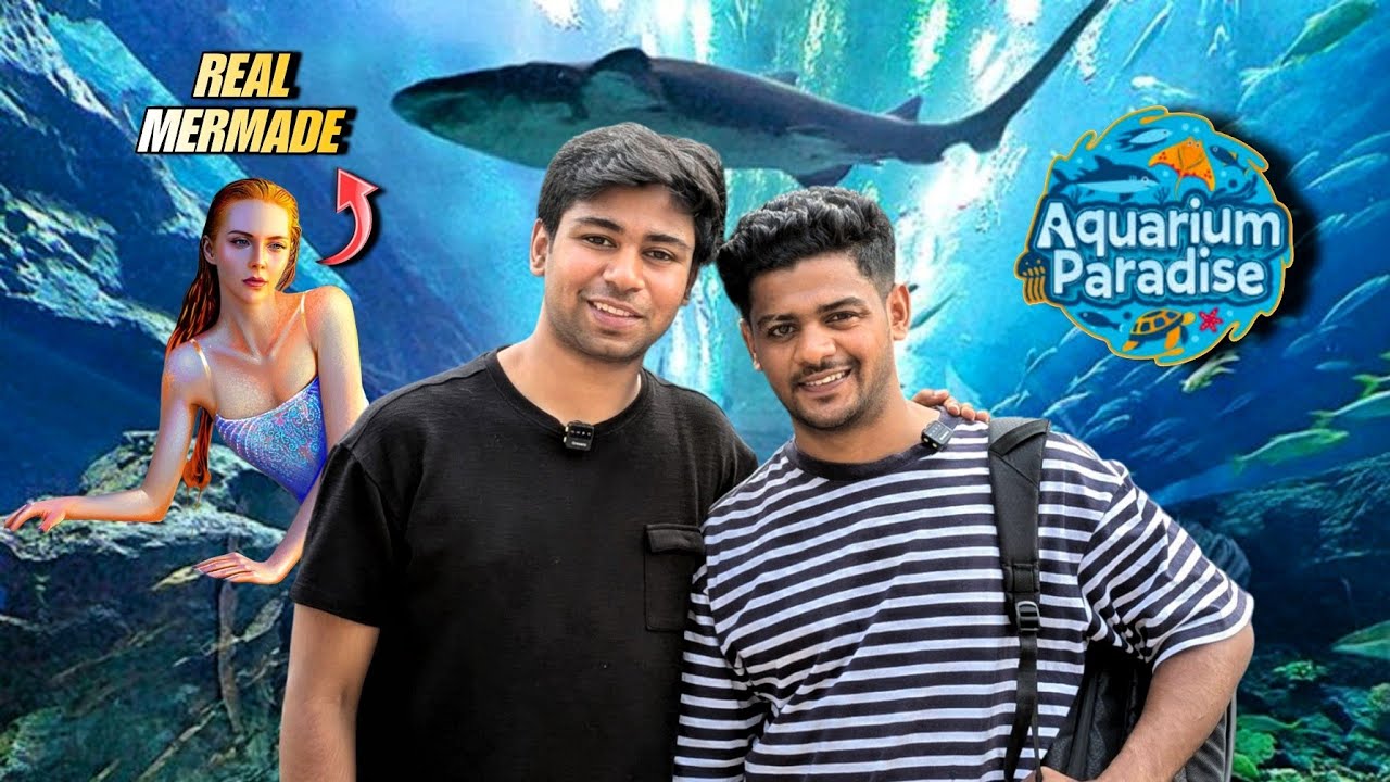 Aquarium paradise India's Largest Aquarium in Bangalore mermaid Show Underwater Tunnel and many more