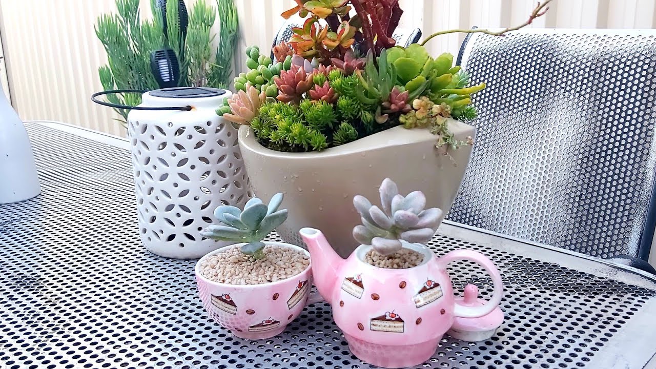 Lavender Pebbles & Margaret Rose, Project 2.22.22