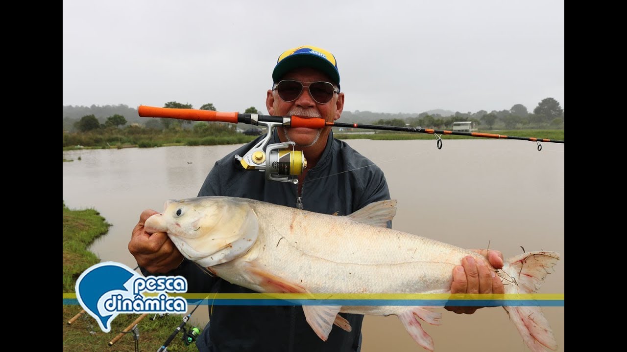 Top Dica - Equipamentos com &oacute;timo custo benef&iacute;cio para pescaria de carpas cabe&ccedil;udas