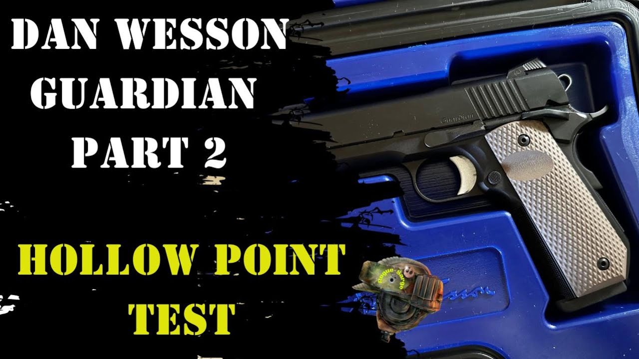 Dan Wesson Guardian Part 2