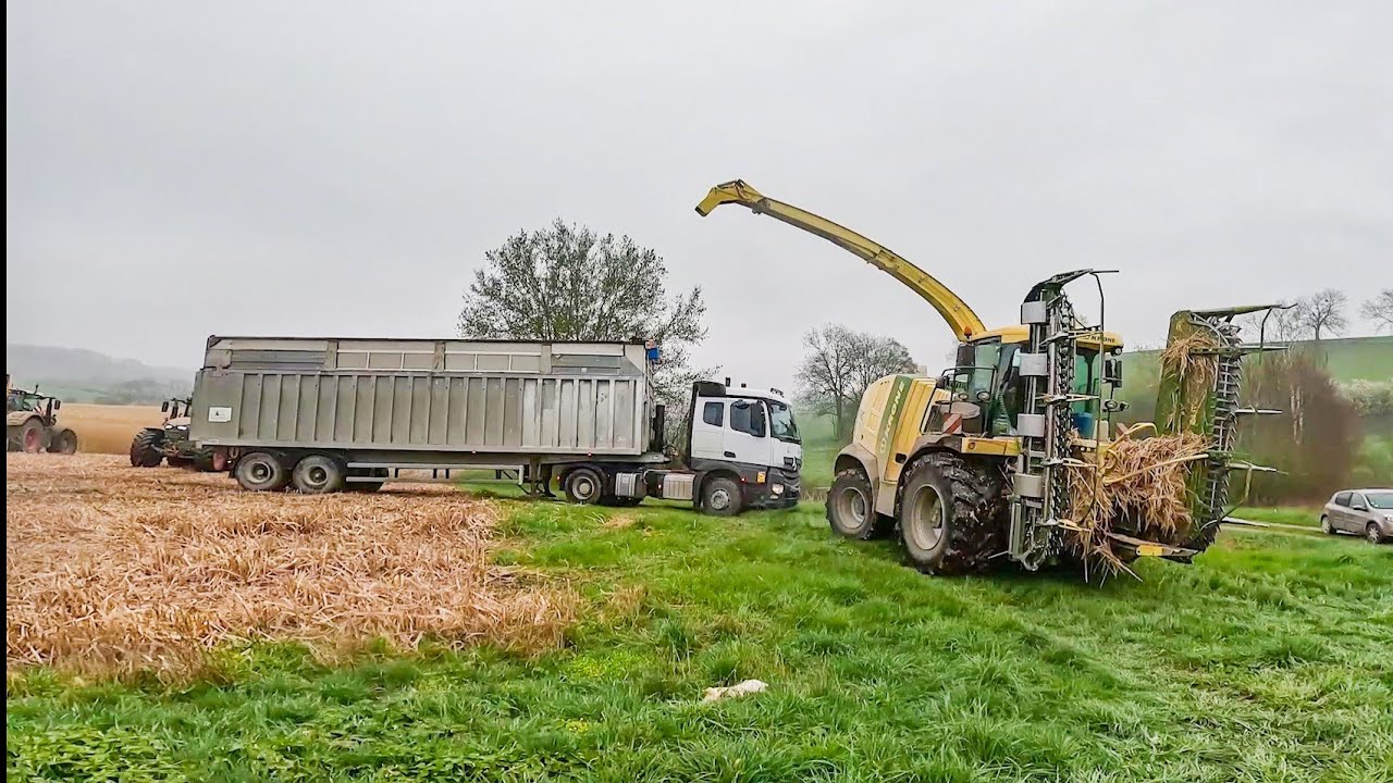 ‼️Ensilage de miscanthus en condition humide ‼️